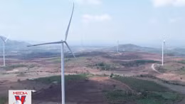 Nhà máy điện gió phớt lờ đề nghị tạm ngừng hoạt động chạy thử