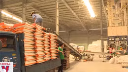 Đề nghị doanh nghiệp, nhà phân phối giữ ổn định giá gạo