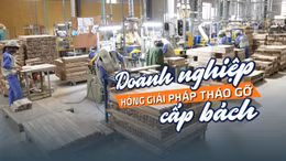 Tin tức TV: Doanh nghiệp 'hóng' giải pháp tháo gỡ cấp bách
