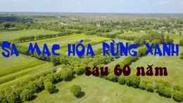 Xem nông dân Trung Quốc biến sa mạc khô cằn thành rừng xanh sau 6 thập kỷ