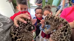Sở thú Cuba dùng động vật làm liệu pháp điều trị đặc biệt cho trẻ khuyết tật