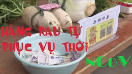 Hàng rau tự phục vụ ra đời thời nCoV