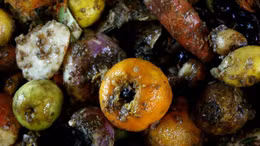 Sử dụng rau củ hư hỏng tạo ra nguồn điện