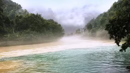 Nước sông mùa lũ ngả 2 màu nêu bật tầm quan trọng bảo vệ rừng