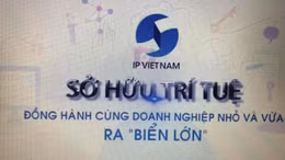 Sở hữu trí tuệ đồng hành cùng doanh nghiệp nhỏ và vừa 
