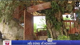 Homestay nở rộ và hệ lụy