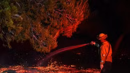 Hoả hoạn từ đám cháy cỏ thiêu rụi khu vực rộng lớn tại California, Mỹ