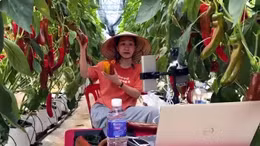 Phụ nữ tích cực tham gia 'cuộc đua' chuyển đổi số 