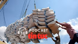 ‘Giải mã cùng luật sư’: Doanh nghiệp Việt Nam cần làm gì trong những vụ kiện phòng vệ thương mại? 