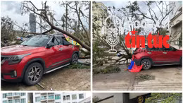 ‘Giải mã cùng luật sư’: Ô tô hư hỏng do thiên tai, bảo hiểm sẽ đền bù ra sao? 