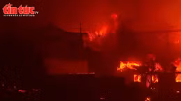 Chile đối mặt thảm hoạ cháy rừng chưa từng có khiến ít nhất 123 người thiệt mạng