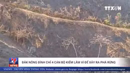 Đắk Nông đình chỉ 4 cán bộ kiểm lâm vì để xảy ra phá rừng