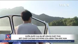 Vườn quốc gia Ba Bể vẫn bị chặt phá bất chấp chỉ đạo giữ rừng