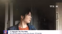 Hàng loạt bến bãi hoạt động trái phép trên sông Hồng