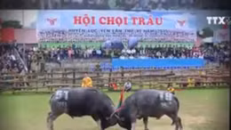 Ngăn chặn những biểu hiện biến tướng lễ hội