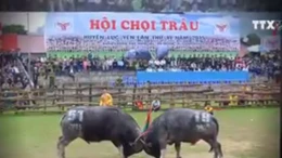 Ngăn chặn những biểu hiện biến tướng lễ hội