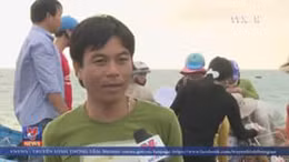 Ngư dân Lý Sơn vươn khơi ngày cận Tết