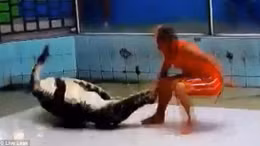 Hãi hùng cá sấu ngoạm tay huấn luyện viên