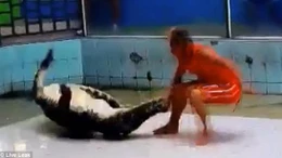 Hãi hùng cá sấu ngoạm tay huấn luyện viên