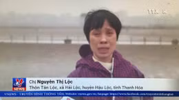 Người dân vựa ngao lớn nhất xứ Thanh trước nguy cơ trắng tay 