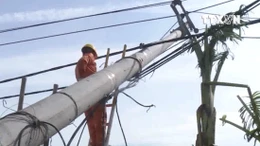 Hệ thống lưới điện Quảng Bình tan hoang sau bão số 10