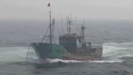 Xem cảnh sát biển Hàn Quốc nã đạn đuổi tàu cá Trung Quốc