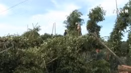 Bình Phước thiệt hại hàng chục tỷ đồng do lốc xoáy