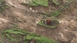 Giải cứu đàn bò kẹt trên “ốc đảo” tí hon sau động đất