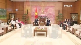 Quan hệ anh em Việt Nam - Cuba