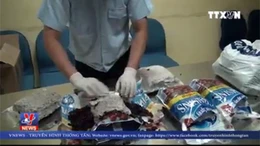 Thu giữ 12 kg cần sa tại sân bay Tân Sơn Nhất