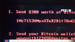 Bộ Thông tin và Truyền thông hướng dẫn cách xử lý mã độc Petya