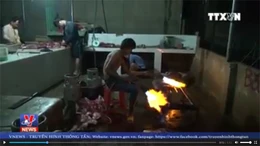 Phù phép lợn nái thải loại thành lợn rừng lai