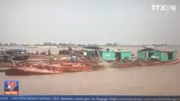 Cát tặc tung hoành khu vực cửa biển Ba Lạt