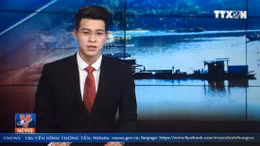 Hưng Yên cấm khai thác cát vào ban đêm