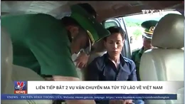Liên tiếp bắt 2 vụ vận chuyển ma túy từ Lào về Việt Nam