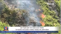 Cháy rừng tại quần thể danh thắng Tràng An, Ninh Bình