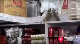 Xem chuột đấu tay đôi giành đồ ăn tại siêu thị