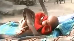 Em bé say ngủ giữa... 4 con rắn hổ mang
