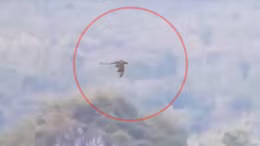 Xuất hiện "rồng" bay giữa biên giới Trung Quốc-Lào