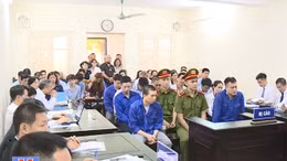 Xét xử Tổng Giám đốc CIMCO lừa đảo chiếm đoạt tài sản