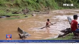 Trẻ em liều mình vớt củi giữa dòng nước lũ