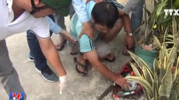 Bắt đường dây sắp tung lượng lớn ma túy ra thị trường dịp Tết