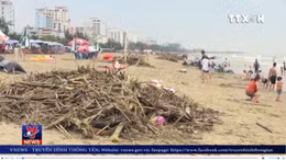Củi, rác bủa vây bãi biển Sầm Sơn
