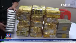 Phá đường dây ma túy xuyên quốc gia tại Hà Tĩnh