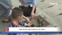 Dọn vỉa hè, dọn luôn cả cây xanh
