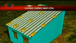 Video hướng dẫn người dân chằng chống nhà cửa