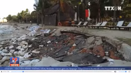 Tan hoang bãi biển Cửa Đại, Hội An