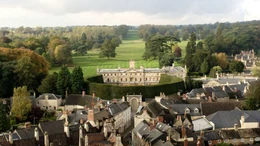 Cắt tỉa hàng rào thủy tùng khổng lồ 300 năm tuổi