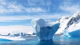 Triệu phú UAE định kéo băng từ Nam cực về Trung Đông