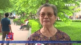 Không có việc trồng lại cây quanh hồ Hoàn Kiếm